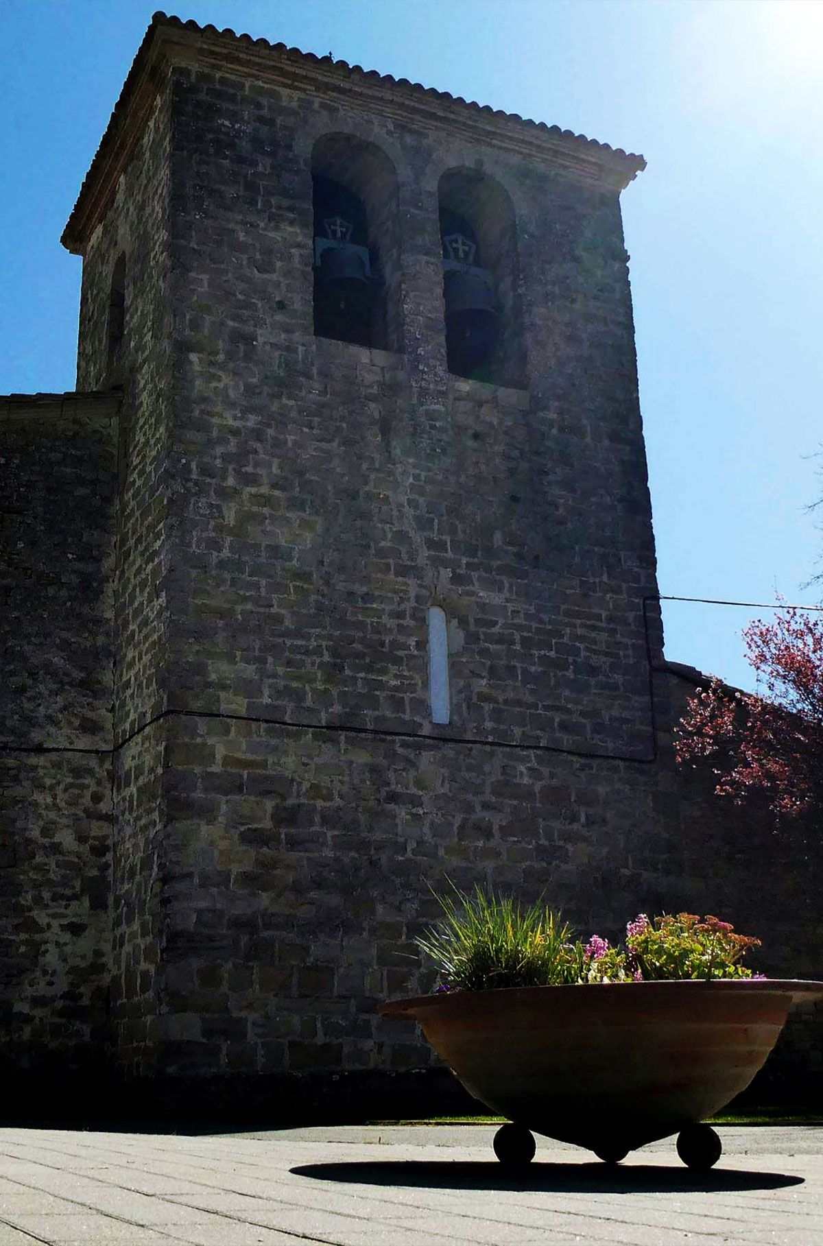 image back